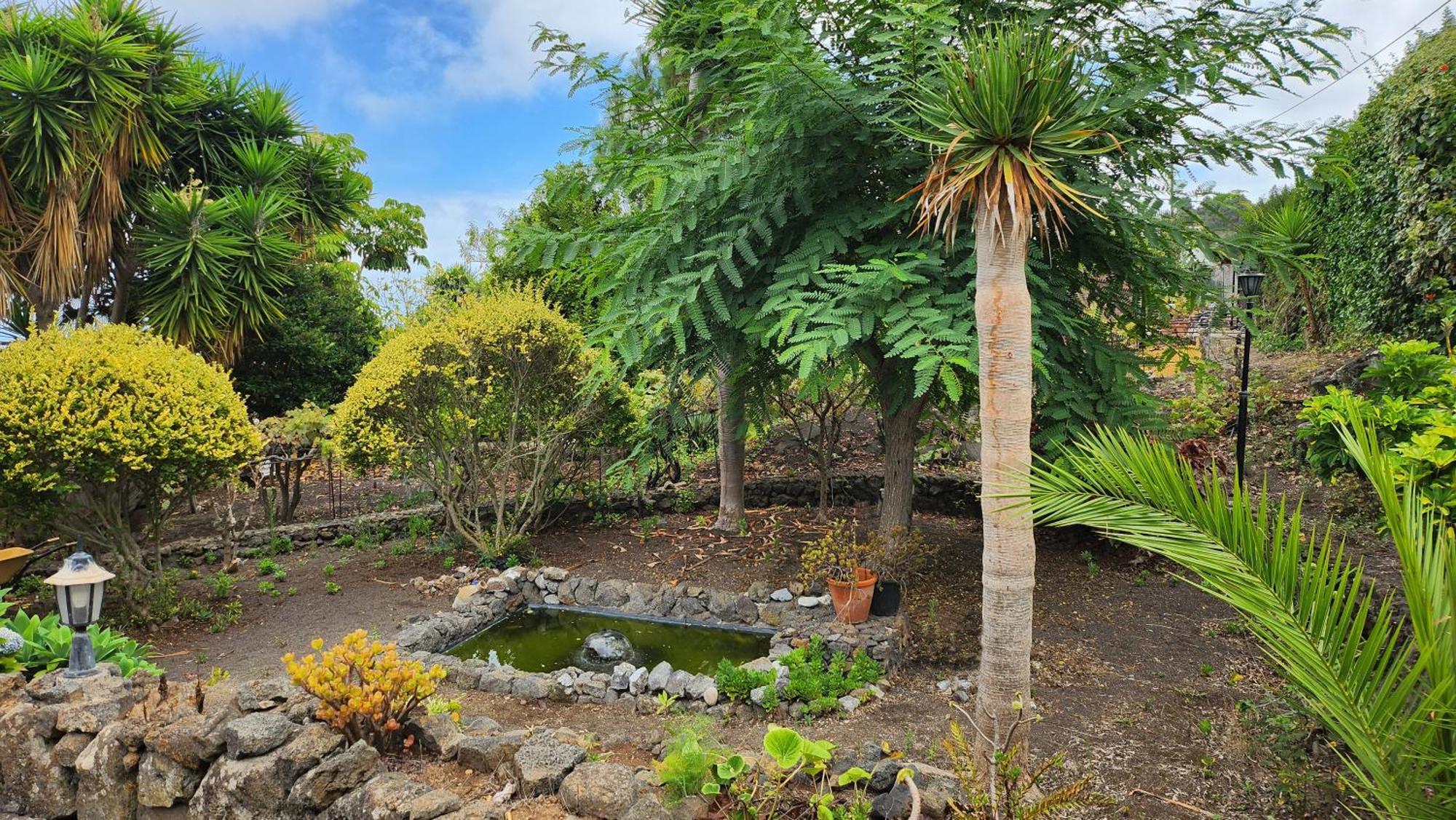 Oasis Hill Botanical Garden Vila Icod De Los Vinos Exterior foto